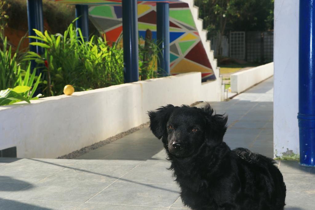 Cristama Residence Inn Ubatuba Eksteriør bilde